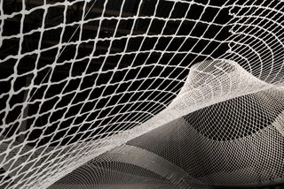 Rvtr infundibuliforms 01