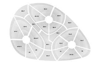 Rvtr infundibuliforms 09