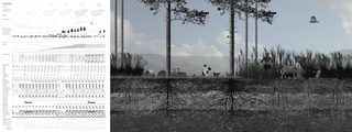 4 loblolly switchgrass