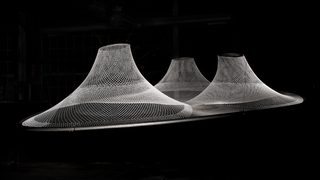 Rvtr infundibuliforms 06