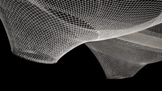 Rvtr infundibuliforms 03