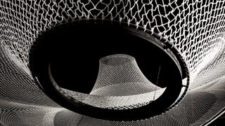 Rvtr infundibuliforms 05