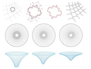 Rvtr infundibuliforms 07