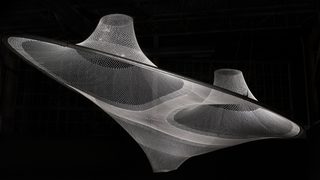 Rvtr infundibuliforms 04