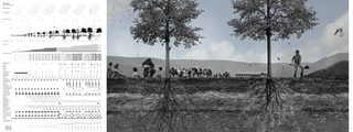 7 blackwalnut forest farm