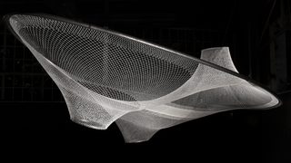 Rvtr infundibuliforms 02